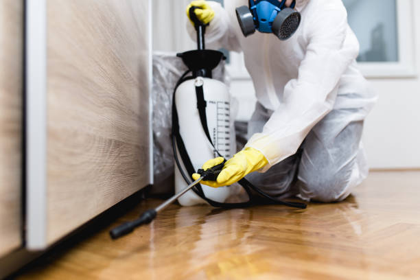 Best Affordable Pest Control Services  in Hermann, MO