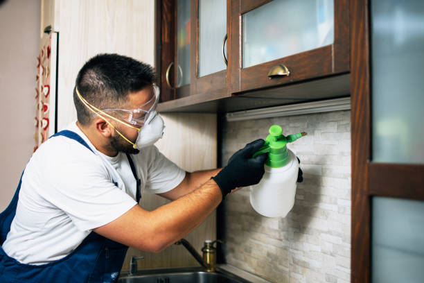 Best Residential Pest Control  in Hermann, MO