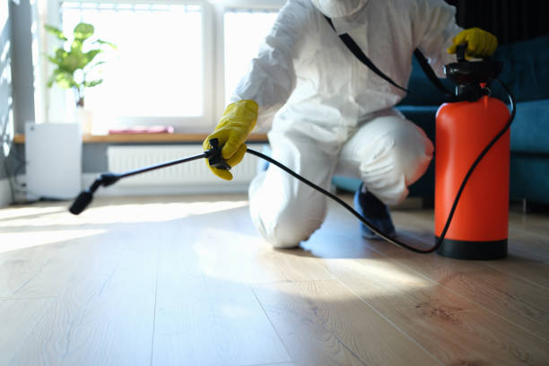 Best Best Pest Control Companies  in Hermann, MO