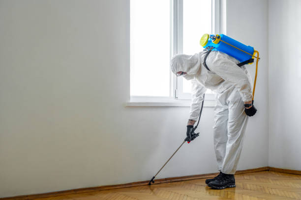 Trusted Hermann, MO Pest Control Experts