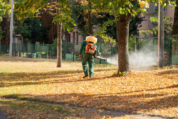 Best Cockroach Control Services  in Hermann, MO
