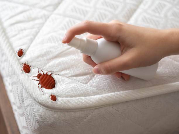 Best Pest Prevention Services  in Hermann, MO