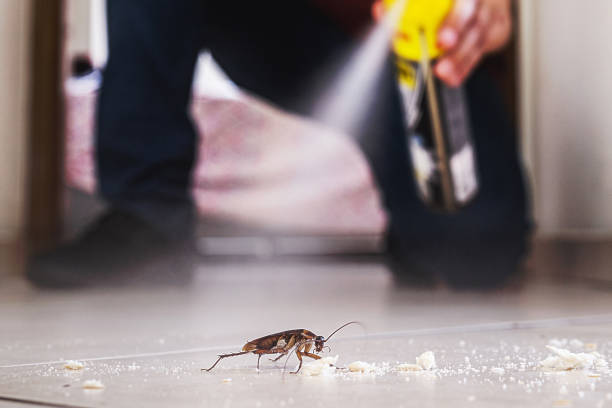 Best Exterminator Services  in Hermann, MO